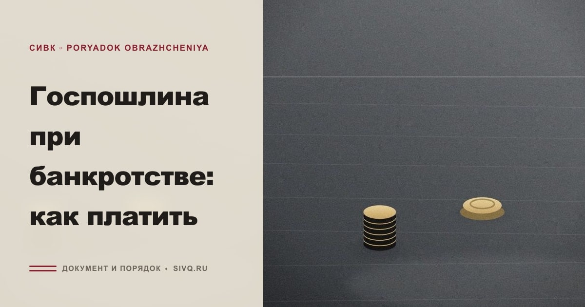 Иллюстрация к статье «Госпошлина при банкротстве: как платить»